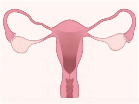Study reveals secret hideouts of ovarian cancer