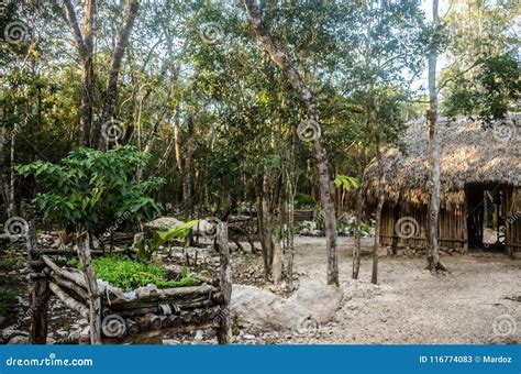 Traditional Mayan Village at Quintana Roo, Mexico Stock Image - Image of peninsula, mexico ...