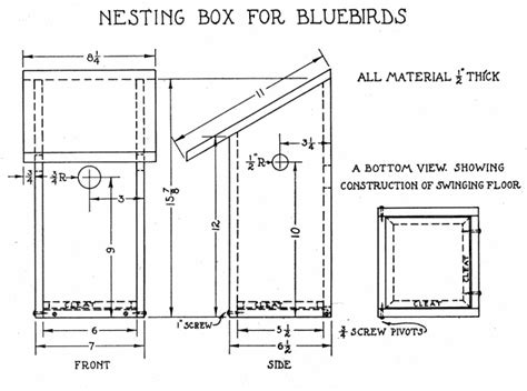 Blue Jay Nesting Box