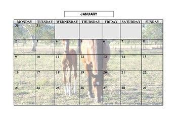 2017 Horse Calendar | Horse calendar, Horses, Horse photos