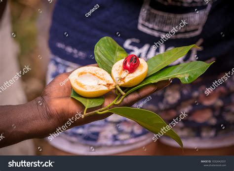 1,232 Zanzibar spices Images, Stock Photos & Vectors | Shutterstock