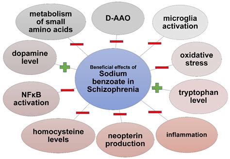 Nutrients | Free Full-Text | Sodium Benzoate—Harmfulness and Potential ...