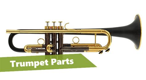 Overview for Beginners: Parts of a Trumpet - CGuide