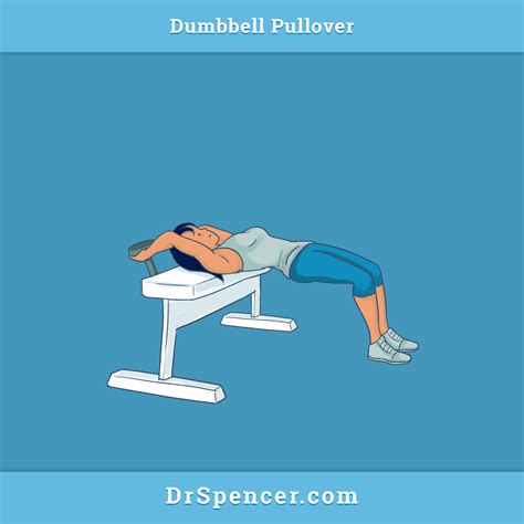 Dumbbell Pullovers – Dr. Spencer Nadolsky