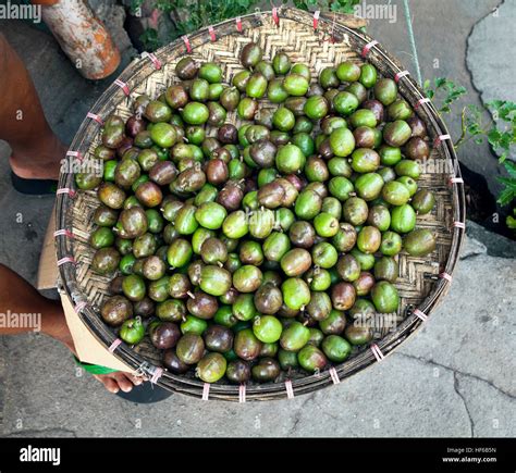 Bilimbi juice source hi-res stock photography and images - Alamy