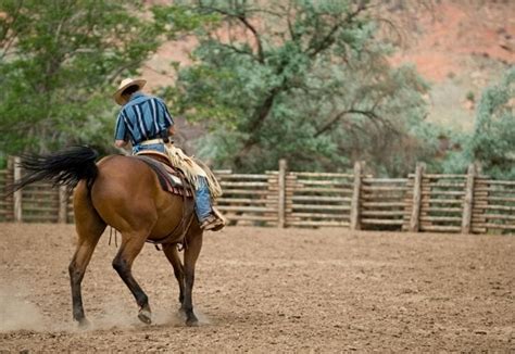 Best Ranch Horse Names: List of 250+ Good Horse Ranch Names