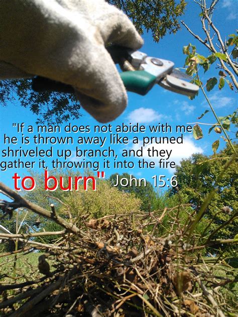 John 15:6 Pruning | "If a man does not abide with me he is t… | Flickr