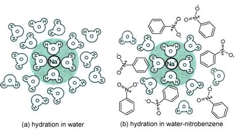 Illustration of hydration of Na + surrounded by a shell composed of ...