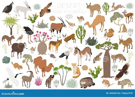 Desert Biome, Xeric Shrubland Biome, Natural Region Infographic ...