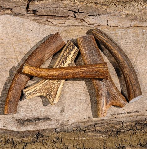 Staglers 100% Natural Deer Antler Dog Chew - Small