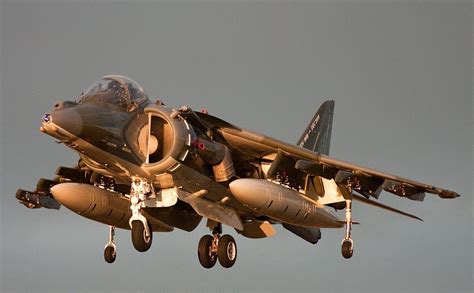 Harrier Wallpapers - Wallpaper Cave