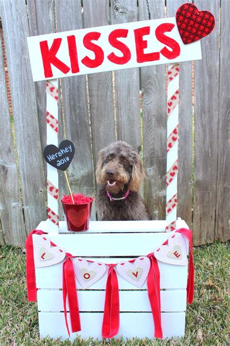 a brown dog sitting in front of a sign that says kisses