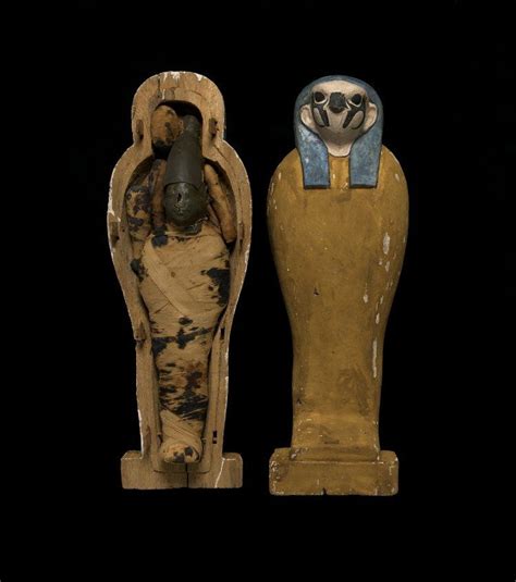 Painted wooden coffin containing the mummy of a hawk: the mummy is wrapped in linen bandages and ...