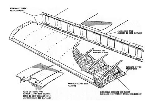 Concorde wing