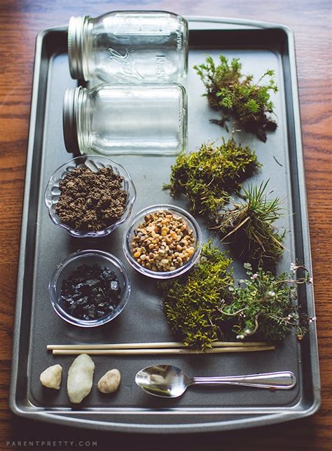 DIY Moss Terrarium Craft | Science Projects For Kids | POPSUGAR Moms ...