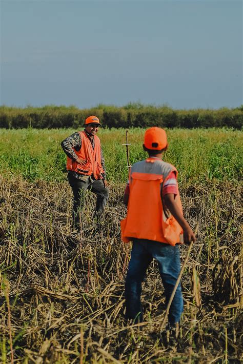 Wild Quail Hunting in Mexico | Rancho Ala Blanca