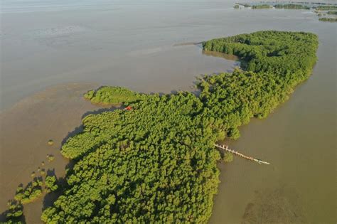 Pampanga's Sasmuan wetland is new Ramsar site of international importance - GoodNewsPilipinas.com