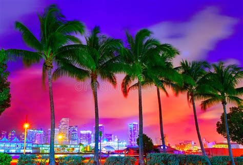 Miami skyline sunset with palm trees Florida. Miami skyline at sunset with palm , #Sponsored, # ...