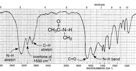 Chemistry: Amide infrared spectra