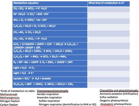 Solved Metabolism equation What kind of metabolism is it? | Chegg.com