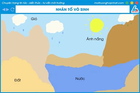 Nhân tố sinh thái là gì? Các loại nhân tố sinh thái