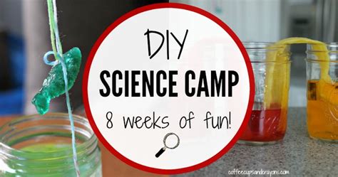 All You Need for a DIY Summer Science Camp