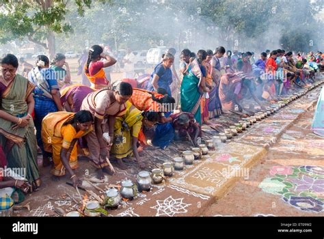 Women celebrating Pongal festival in Tamil Nadu ; India Stock Photo: 83600974 - Alamy