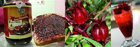 Benefits of Roselle ~ Info And Knowledge