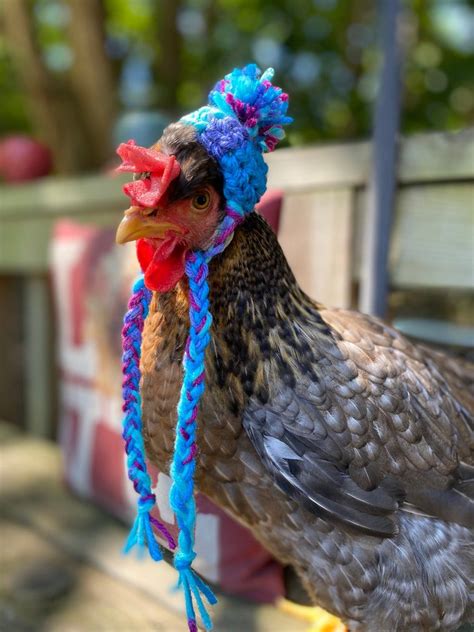 Chicken Hat with Ties | Home Design, Garden & Architecture Blog Magazine