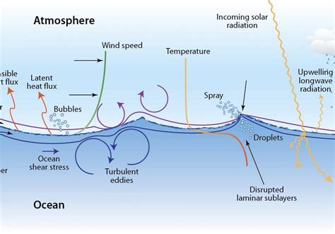 What causes ocean waves? - Woods Hole Oceanographic Institution