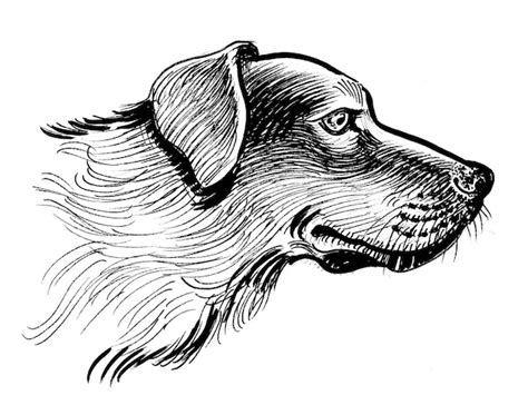 Premium Photo | A sketch of a dog with a long nose and a long nose.