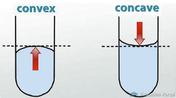 What Is a Meniscus? - Definition, Uses & Lab Examples - Video & Lesson ...