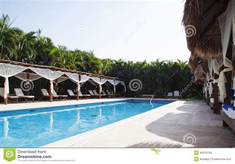 Swimming pool in the hotel stock photo. Image of holiday - 43376134