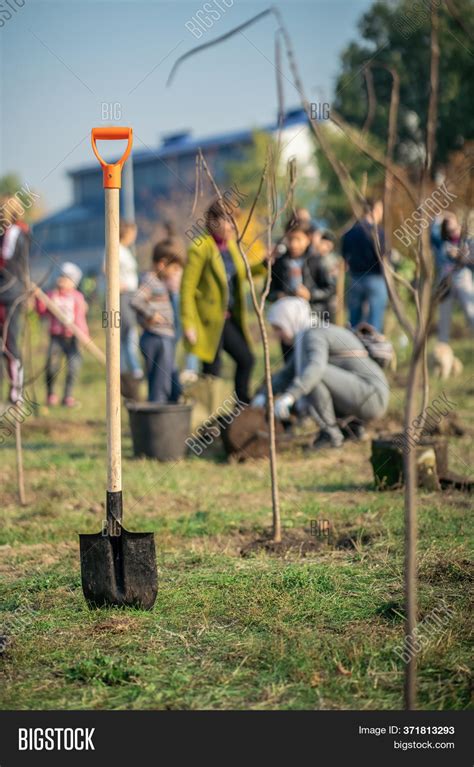 Planting New Trees Image & Photo (Free Trial) | Bigstock