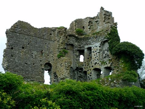 Ireland In Ruins: Carrick Castle Co Kildare