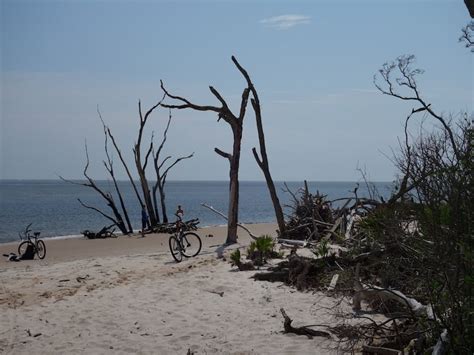 Boneyard Beach, Big Talbot Island State Park - Lazy Locations - Florida