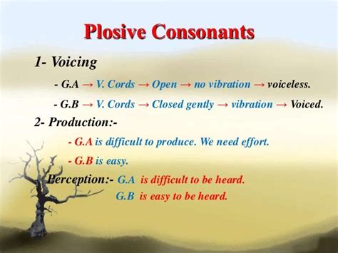 Plosives