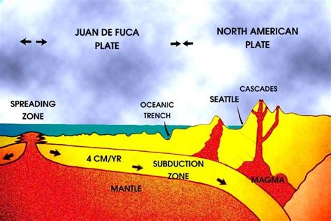 spreading | Plate tectonics, Subduction zone, Seafloor spreading