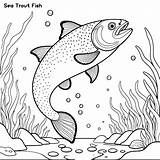 Sea Trout Fish Hand drawing coloring Page And Outline Clipart Vector  sketch template