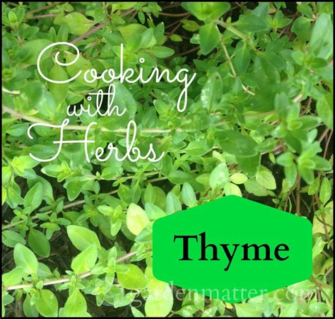 Cooking with Herbs - All About Thyme