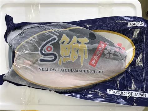 Frozen Hamachi Fillet (yellowtail) Frozen Fish Fillet - Buy Frozen Fish Fillet,Japanese ...