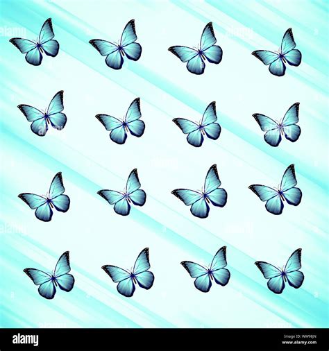 Details 100 butterfly background wallpaper - Abzlocal.mx