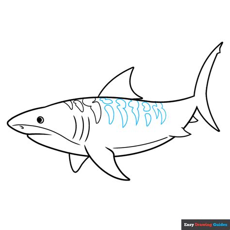 How to Draw a Tiger Shark - Really Easy Drawing Tutorial