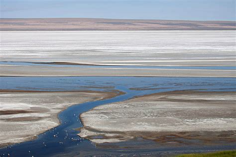 Salt deposits on playa, Oregon – Geology Pics