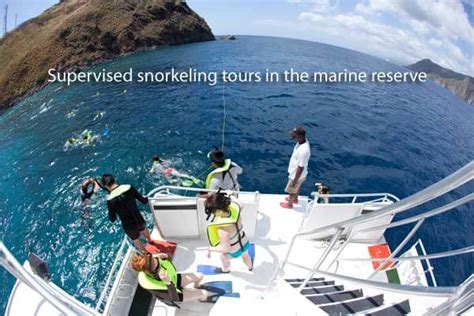 Snorkeling in Dominica | Dive Dominica