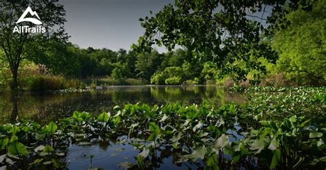 Best bird watching trails in Van Cortlandt Park | AllTrails