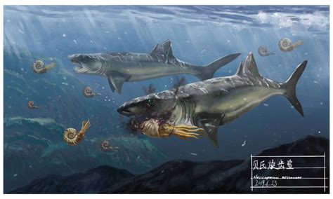 Helicoprion by KookaburraSurvivor on DeviantArt