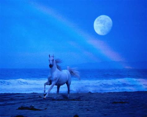 Wild Horses Galloping On The Beach | Wallpapers Gallery