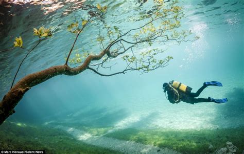 Amazing | Scuba Diving / Underwater Hiking in Green Lake Austria ...