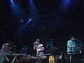 Category:Animal Collective - Wikimedia Commons
